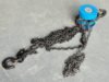 2 Ton chain block